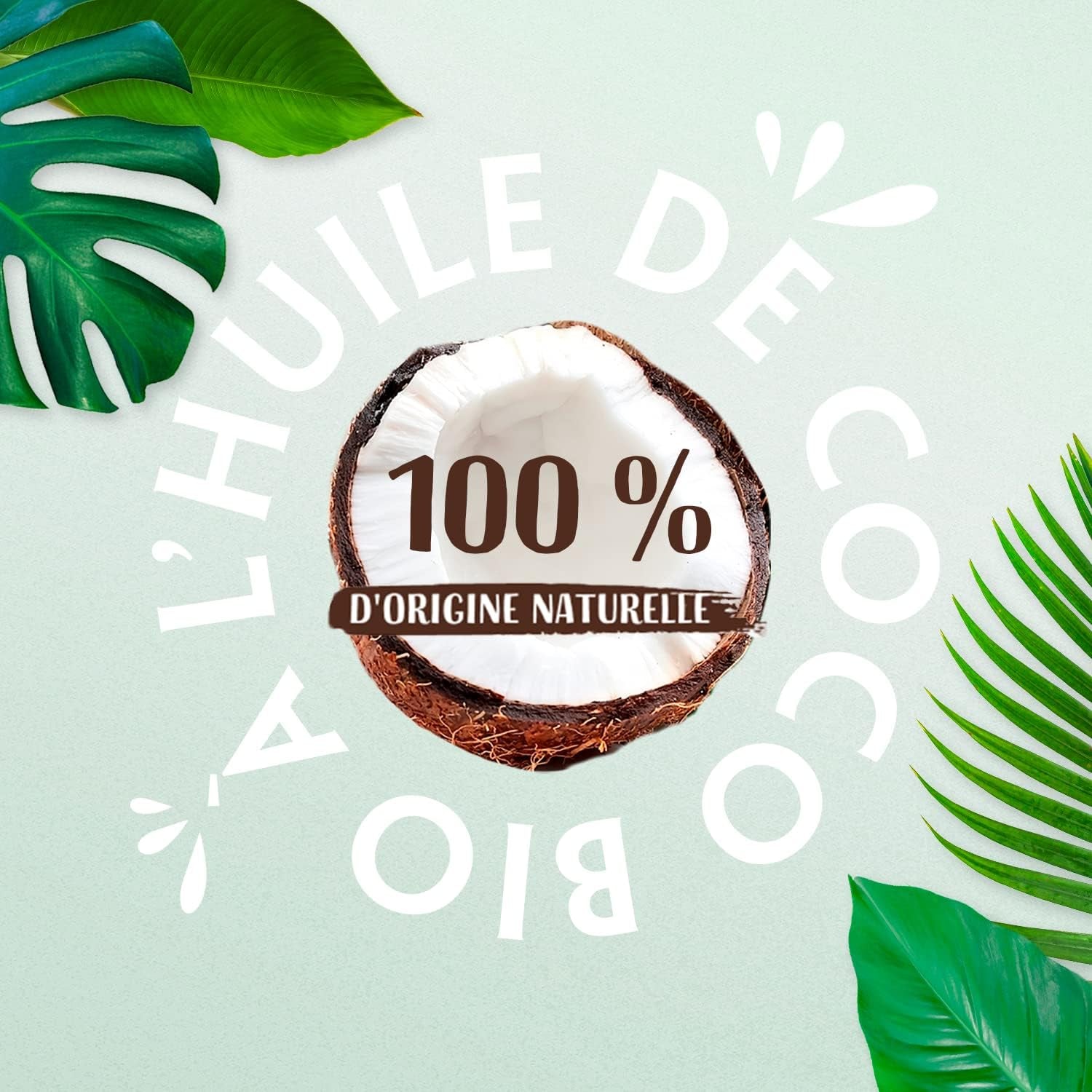 - Huile De Coco Bio Multi-Usages - Hydrate - Peaux Sèches & Cheveux Secs - 100% D'Origine Naturelle - Sans Colorant Ni Parfum Ajouté - Vegan - Certifié BIO - Fabriqué En France - 50 Ml